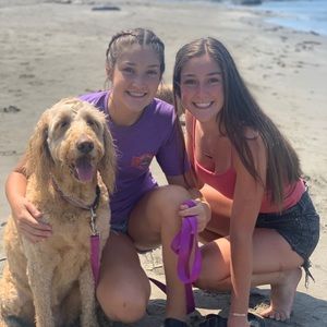 Meet your Posher, Laney